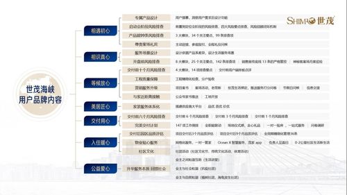 中盈瑞信 三年九倍增長背后，從地產跨界教育科技的秘密武器